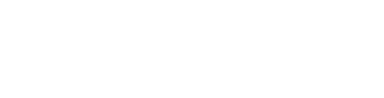 VisibleLLM Logo